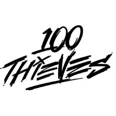 100 thieves discount code.